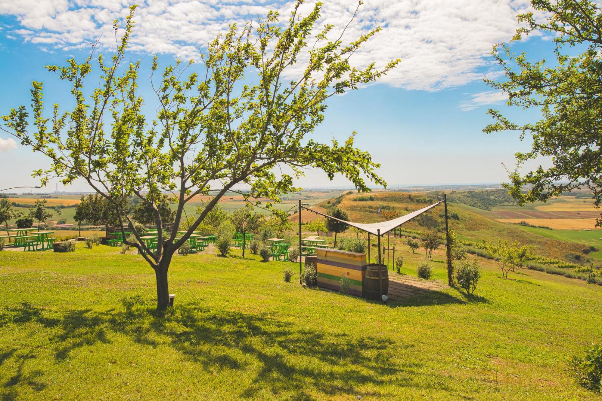 Casale Poggio Nebbia Villa Tarquinia Bagian luar foto